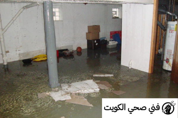 تنظيف جورة السرداب
