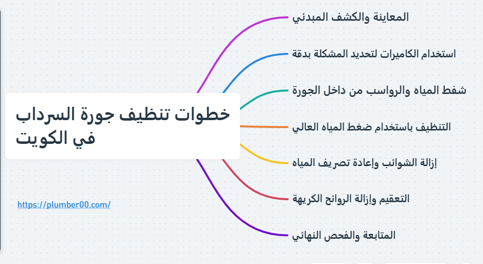 تنظيف جورة السرداب