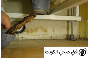 فني صحي الشهداء