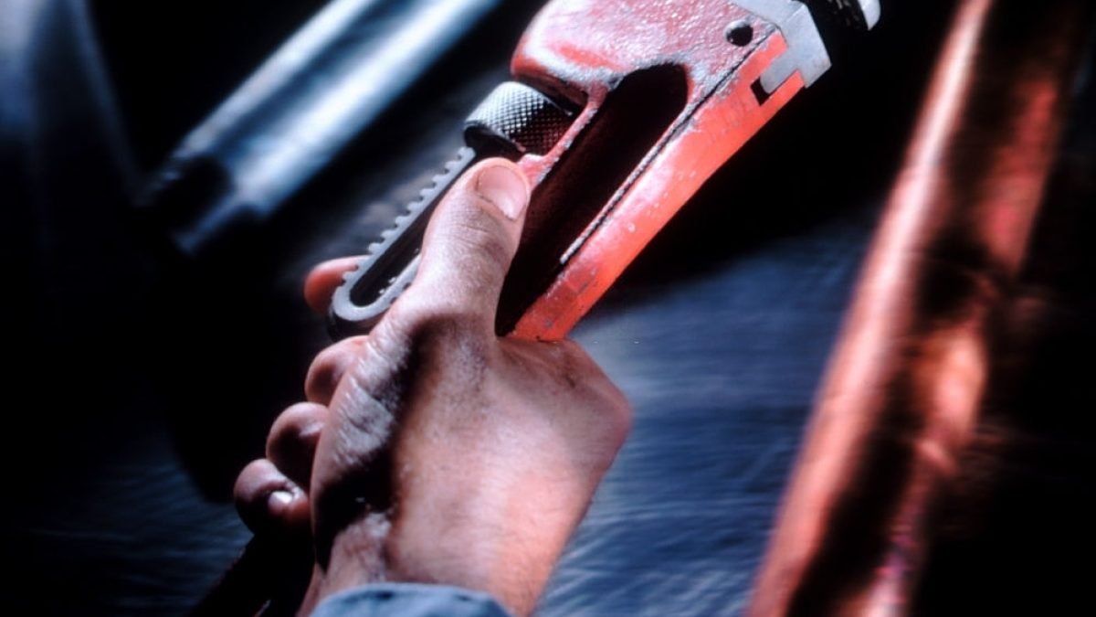 صحي جمعية الفنيطيس