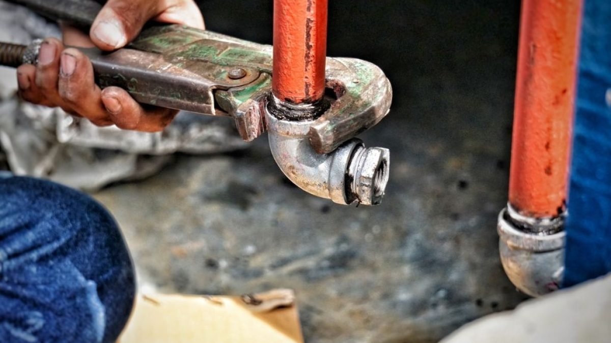 صحي جمعية القرين